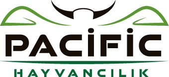Pacific Hayvancılık